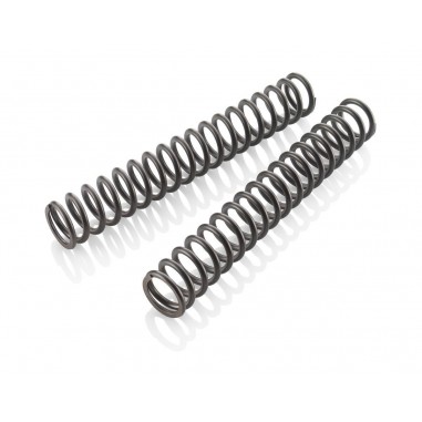 FORK SPRING SET