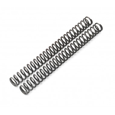 FORK SPRING SET