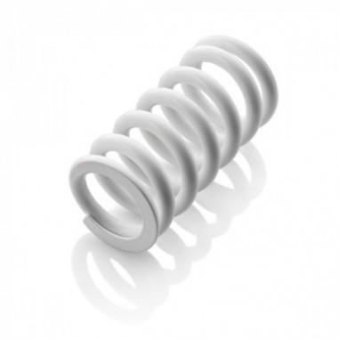 SHOCK ABSORBER SPRING